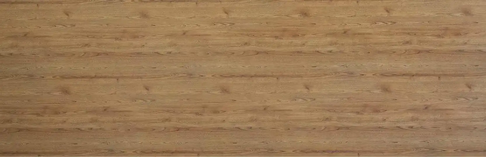 Full slab image